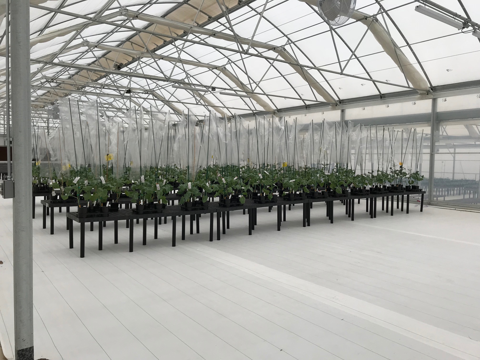Leichtag Common's New Greenhouse Project | Commercial Greerhouse Manufacturer