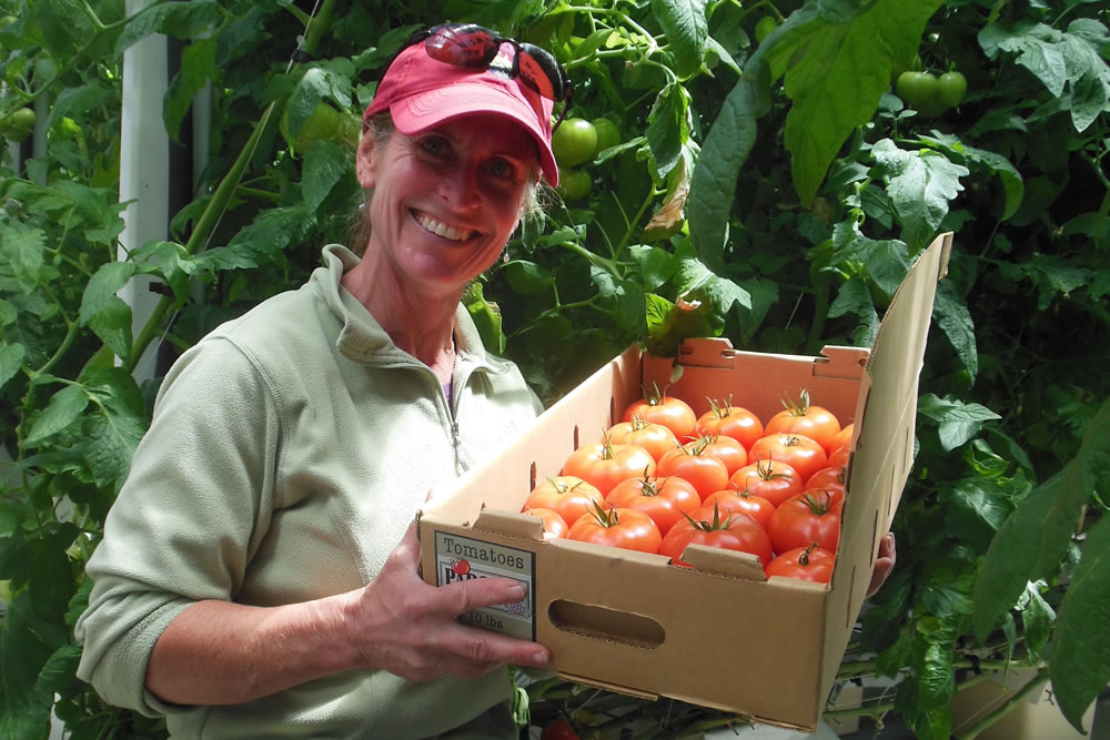 Parsons Homegrown Grows Tomatoes That Get Attention | Agra Tech