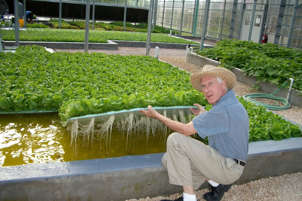 Dr. Howard Resh: Hydroponics and Greenhouse Growing Expert, Consultant and Teacher | Commercial Greerhouse Manufacturer