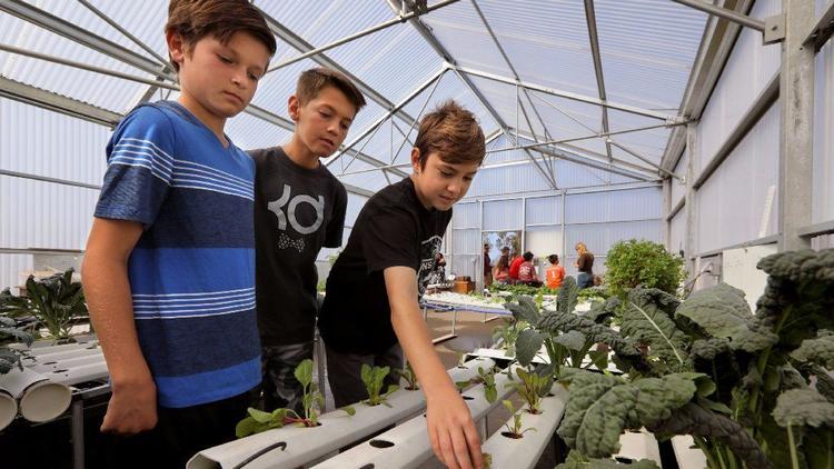 Oceanside Unified School District Gets Into Greenhouse Growing | Agra Tech