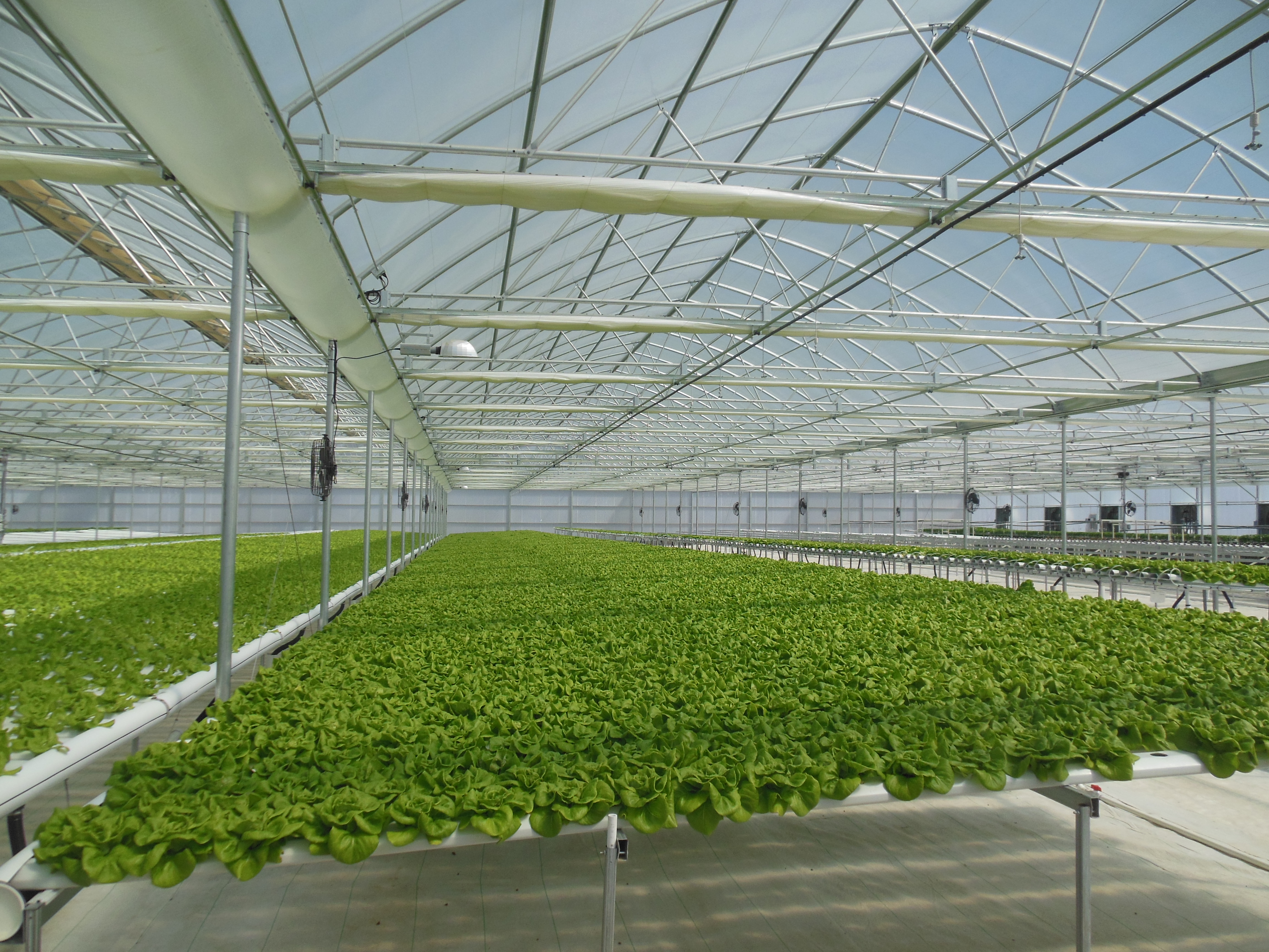 Range of 8 Agra Tech Continental greenhouses at GoGreen ...