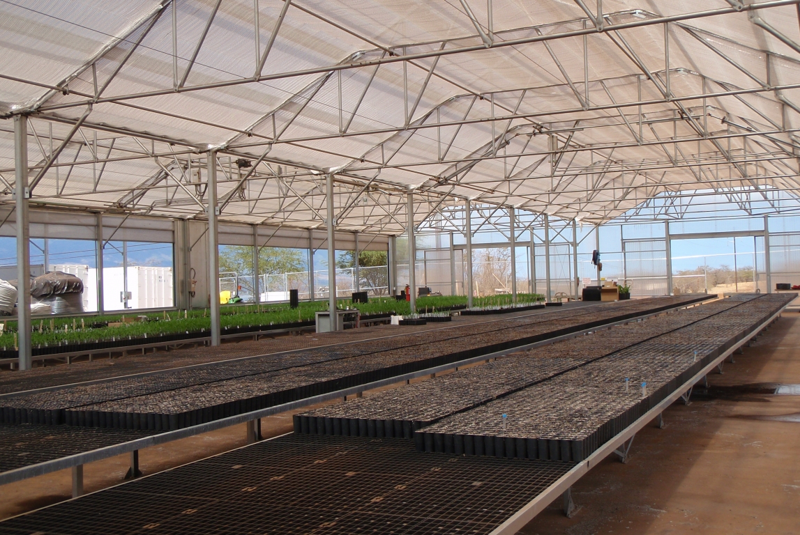 Agra Tech Solar Light Greenhouses for Maui R&D Company | Maui R&D Company | Maui, Hawaii