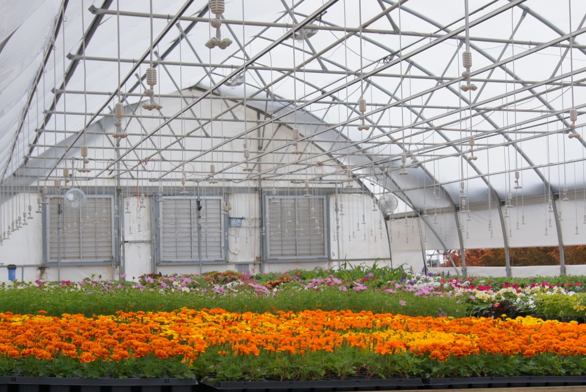 Commercial Greenhouse North Slope | Agra Tech