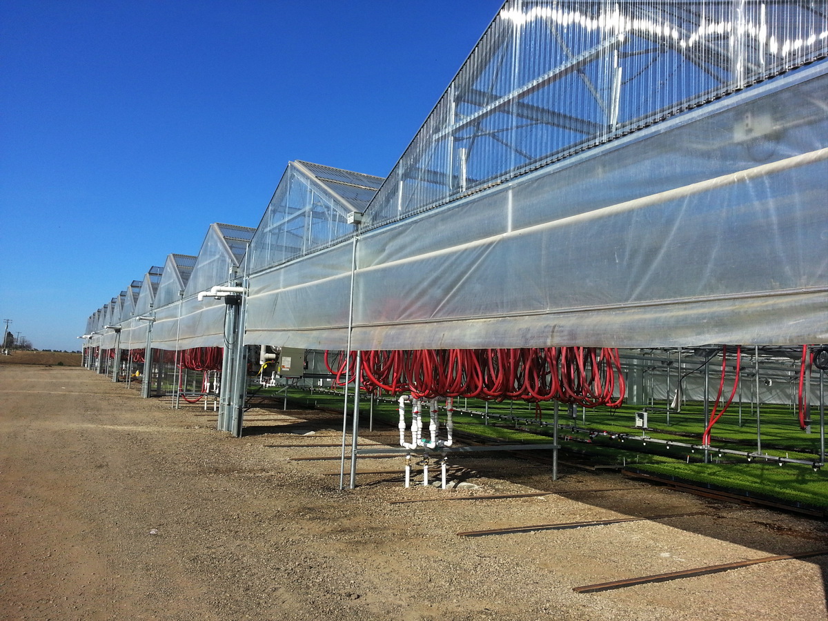 Cooling systems | Commercial Greenhouse Equipment
