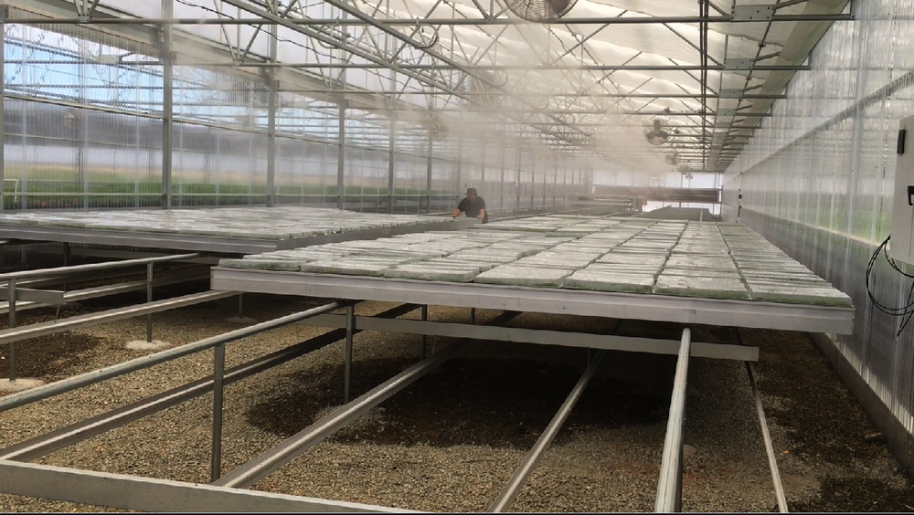 og Systems | Cooling systems | Commercial Greenhouses Equipment