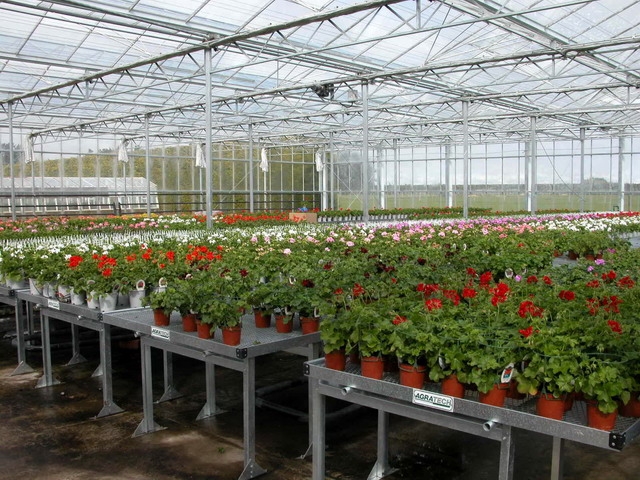 Benches | Commercial Greenhouse Accessories