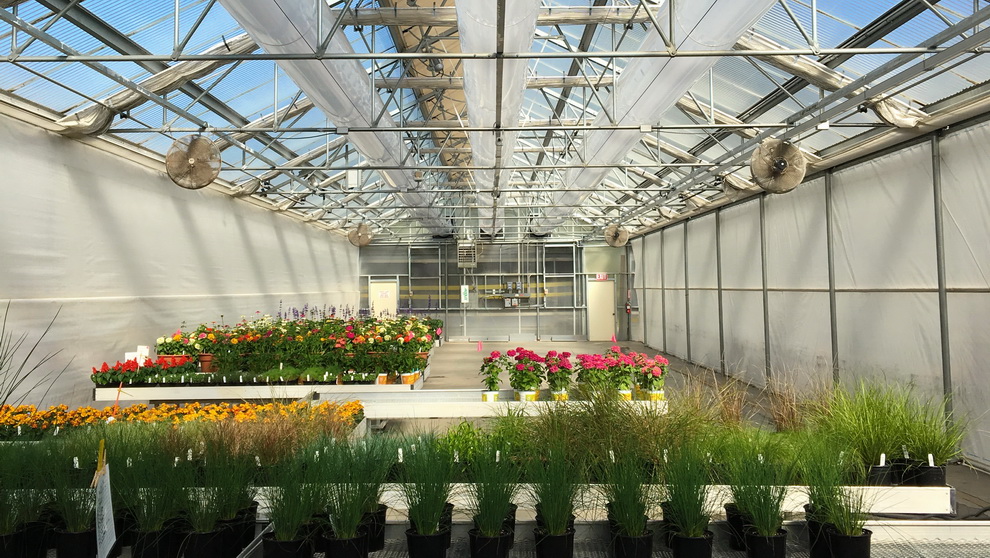 Industrial and Commercial Greenhouse Suppliers for California