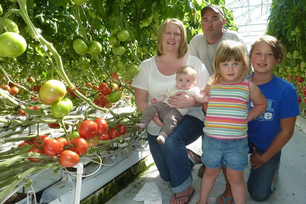 McPhail Farms a Greenhouse Success Story | Commercial Greerhouse Manufacturer
