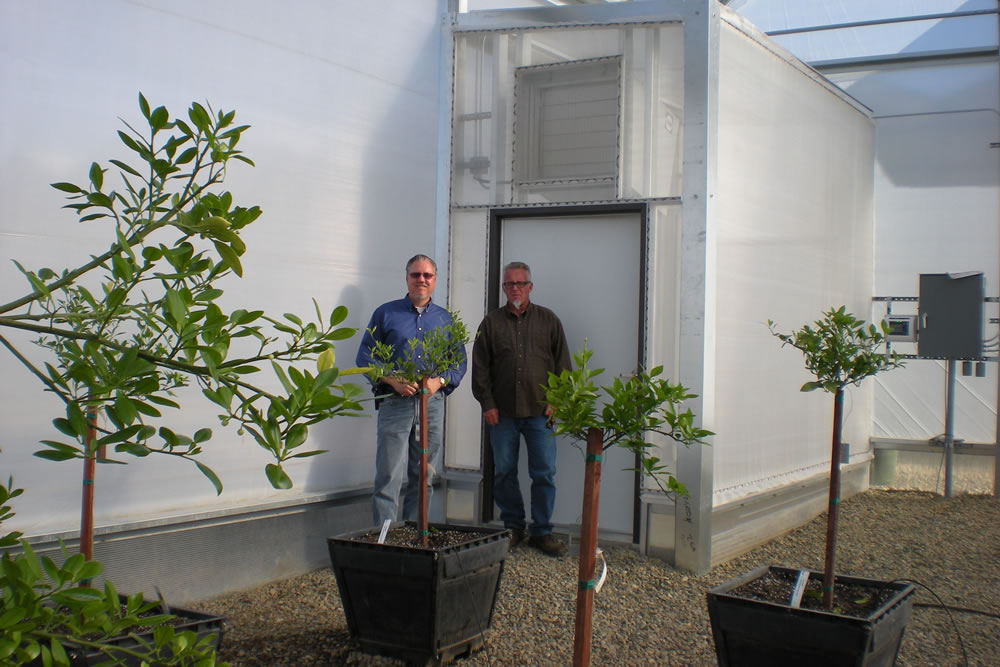 Who Let the Bugs Out? ATI Acts Quickly for Monrovia Nurseries | Commercial Greerhouse Manufacturer