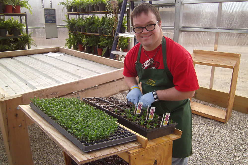 Gifted Gardens is Growing with the Help of Agra Tech, Inc. | Commercial Greerhouse Manufacturer