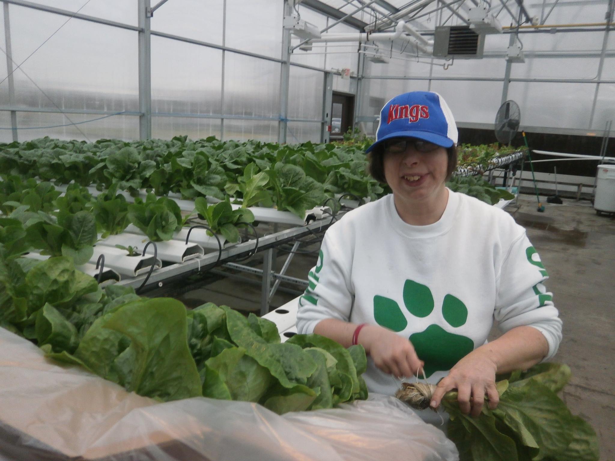 TAC Industries - Hydroponic Greenhouses Grow Voc Rehab Opportunities | Commercial Greerhouse Manufacturer