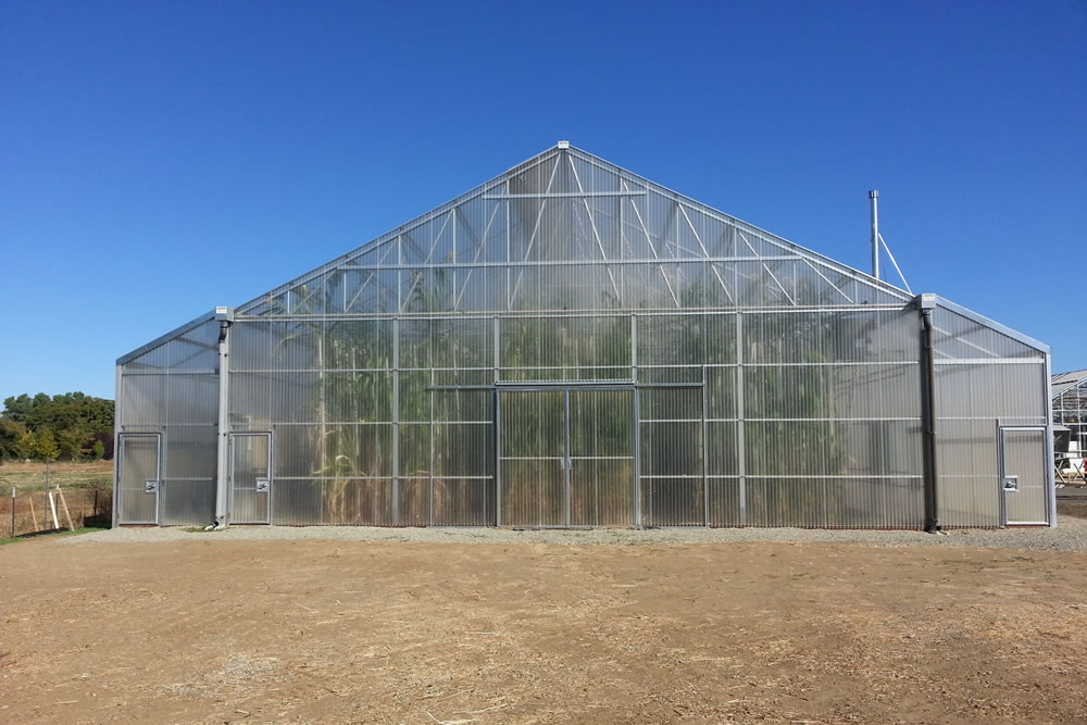 Agra Tech and UC Davis Create Tall Greenhouse Research | Commercial Greerhouse Manufacturer