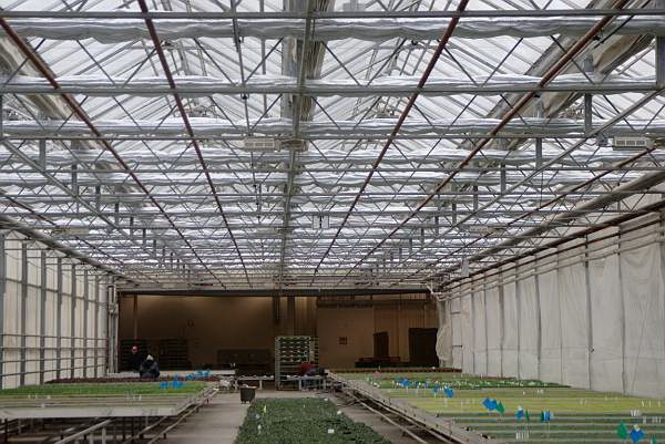 Agra Tech's Energy curtain system installed at North West Hort | North West Hort | Mabton, WA