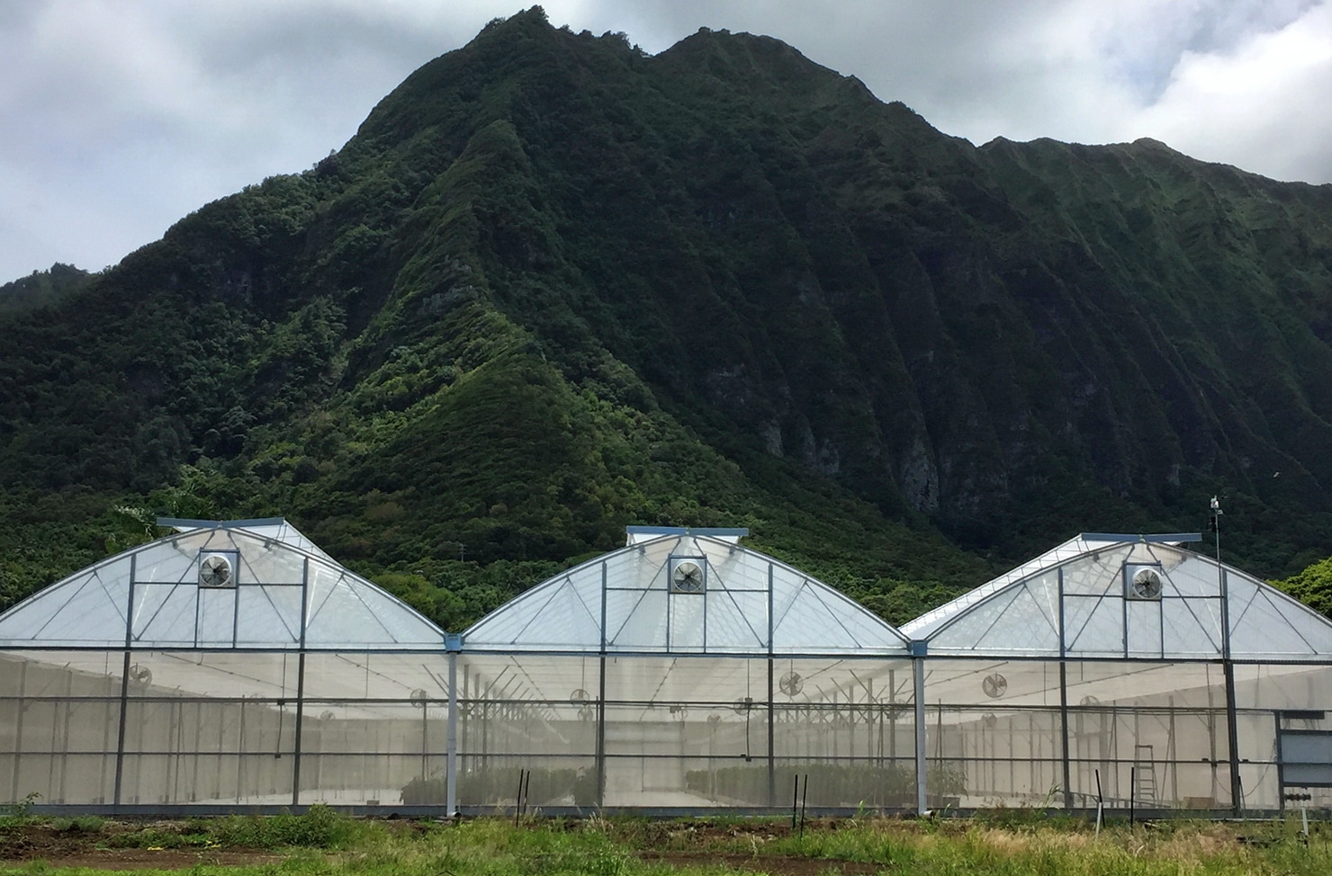 Island Grower Supplies-Serving the Hawaiian Islands with AgraTech  Greenhouses Since 1996