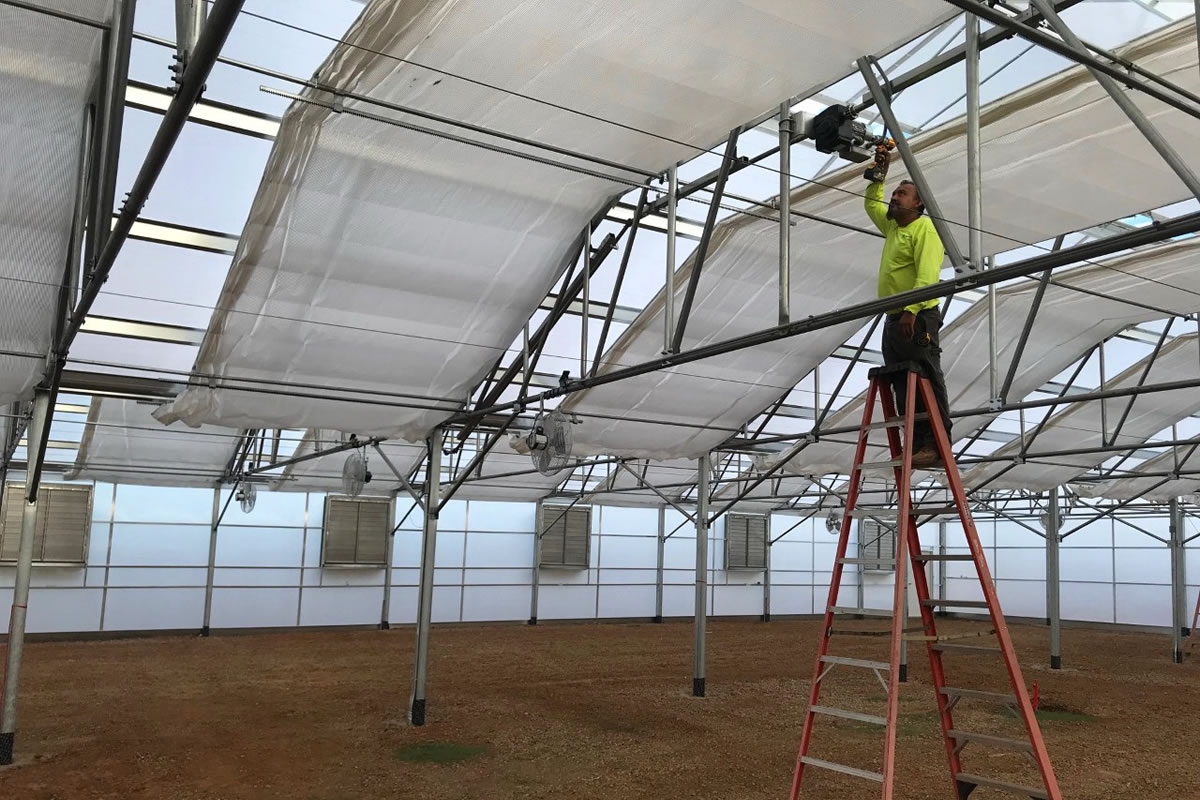 Boething Treeland Farms 3 | Commercial Greenhouse Manufacturer