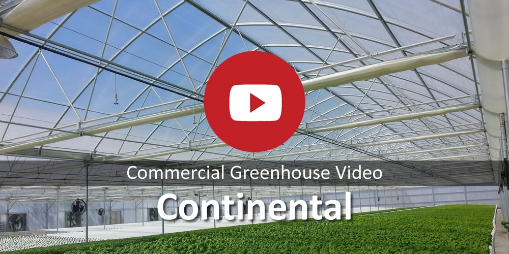 Commercial Greenhouse Continental 