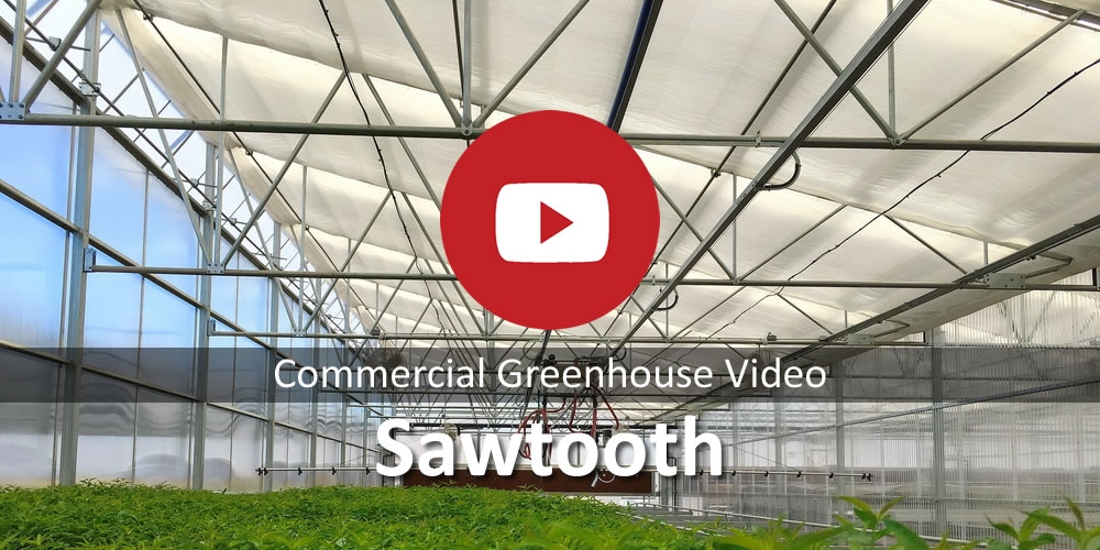 Commercial Greenhouse Sawtooth 