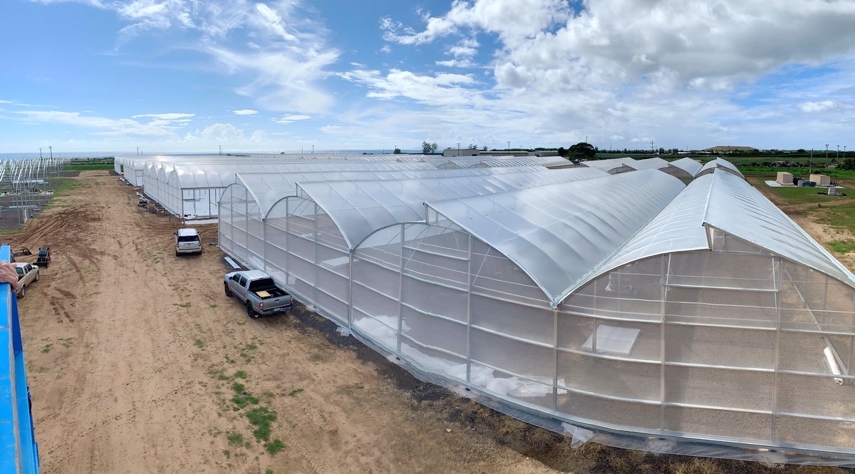 Island Grower Supplies-Serving the Hawaiian Islands with AgraTech  Greenhouses Since 1996