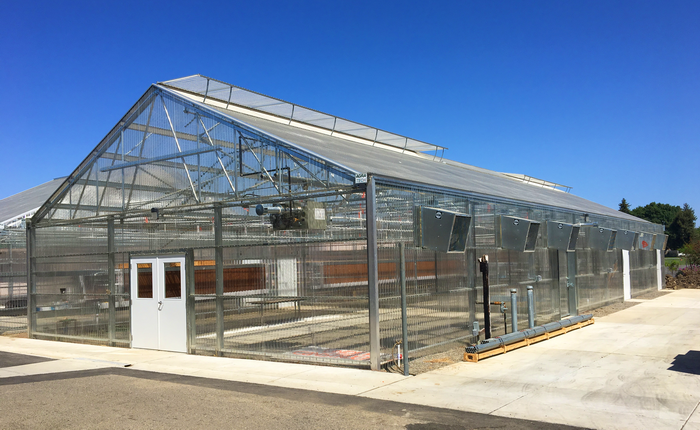 Solar Light Greenhouse