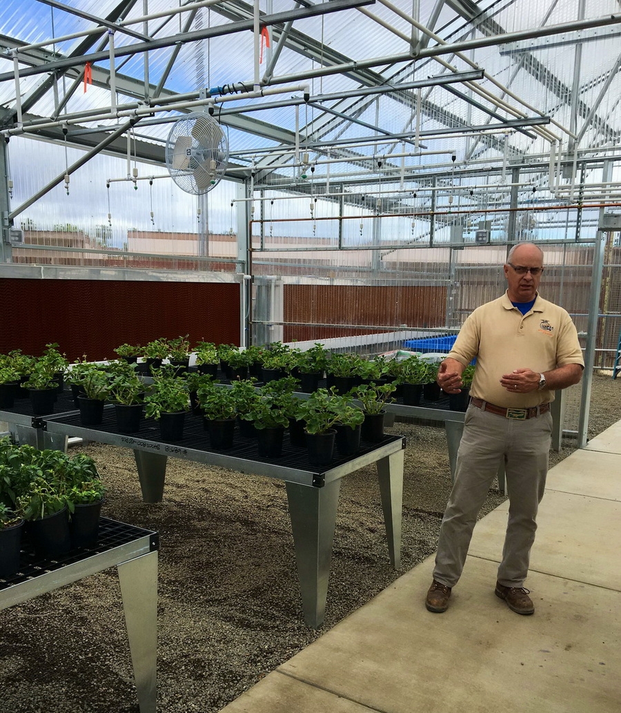 Erik Dyer in his new Solar Light Greenhouse